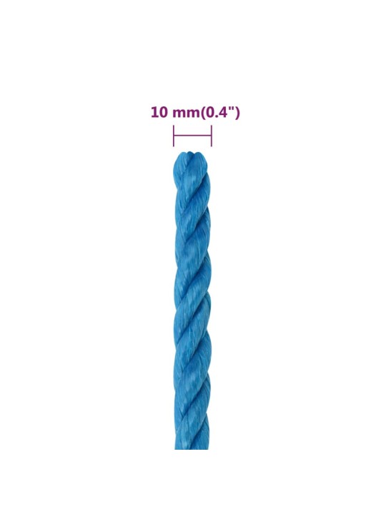 Darba virve, zila, 10 mm, 25 m, polipropilēns