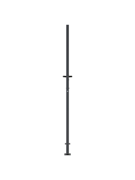 Dārza vārti, antracītpelēki, 105x205 cm, tērauds, zāles dizains