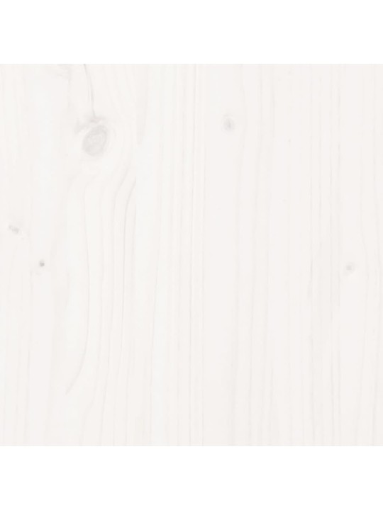 Dārza puķu kaste, žoga dizains, 100x30x30 cm, priedes masīvkoks