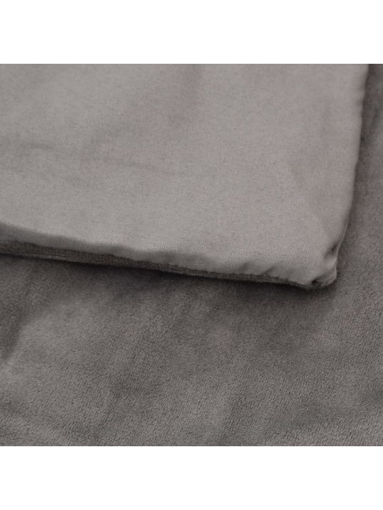 Smaguma sega ar pārvalku, pelēka, 200x225 cm, 13 kg, audums