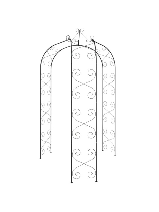 Dārza arka, melna, ø180x255 cm, tērauds