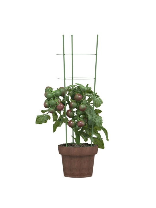 Dārza augu mietiņi ar 3 gredzeniem, 5 gb., zaļi, 60 cm, tērauds