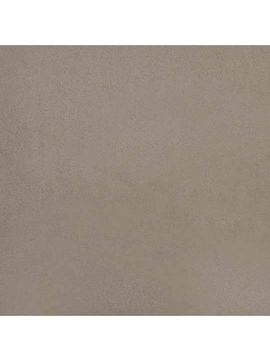 Atpūtas krēsls, gaiši pelēks, 63x76x80 cm, samts