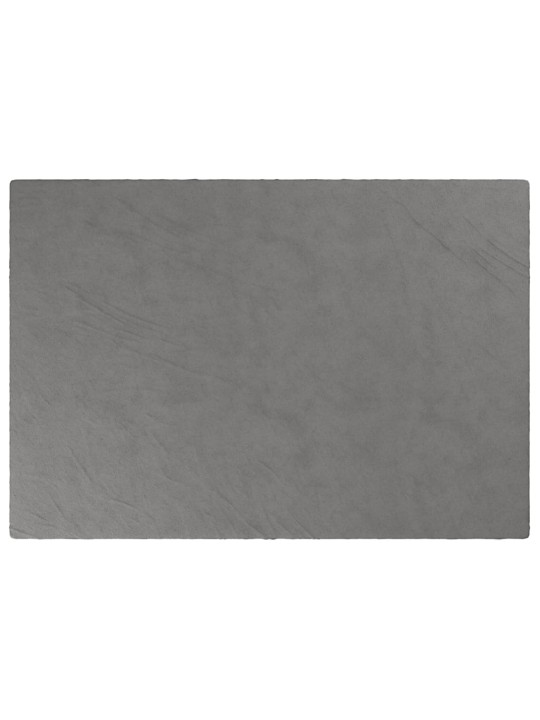 Smaguma sega ar pārvalku, pelēka, 140x200 cm, 10 kg, audums