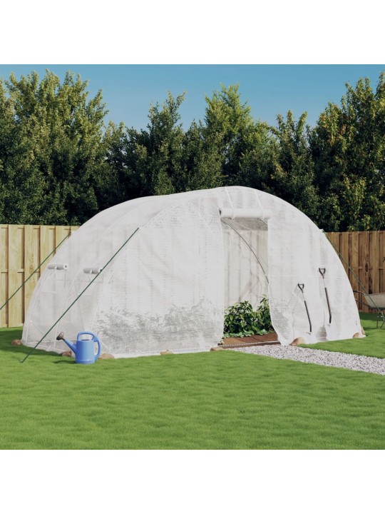 Siltumnīca ar tērauda rāmi, balta, 10 m² 5x2x2,3 m