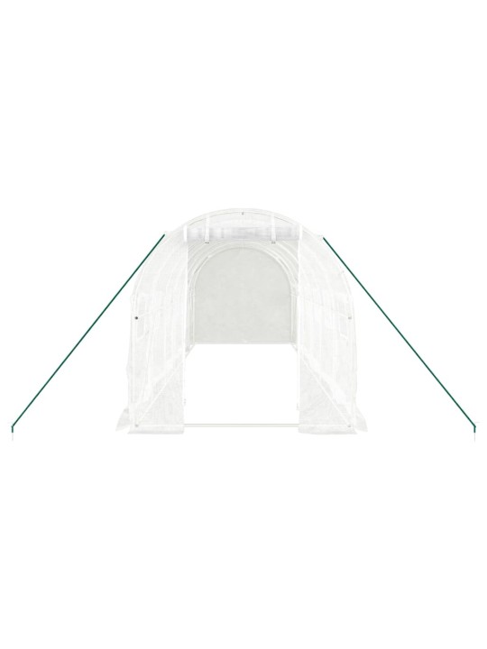 Siltumnīca ar tērauda rāmi, balta, 12 m² 6x2x2 m