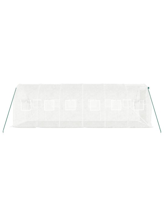 Siltumnīca ar tērauda rāmi, balta, 12 m² 6x2x2 m