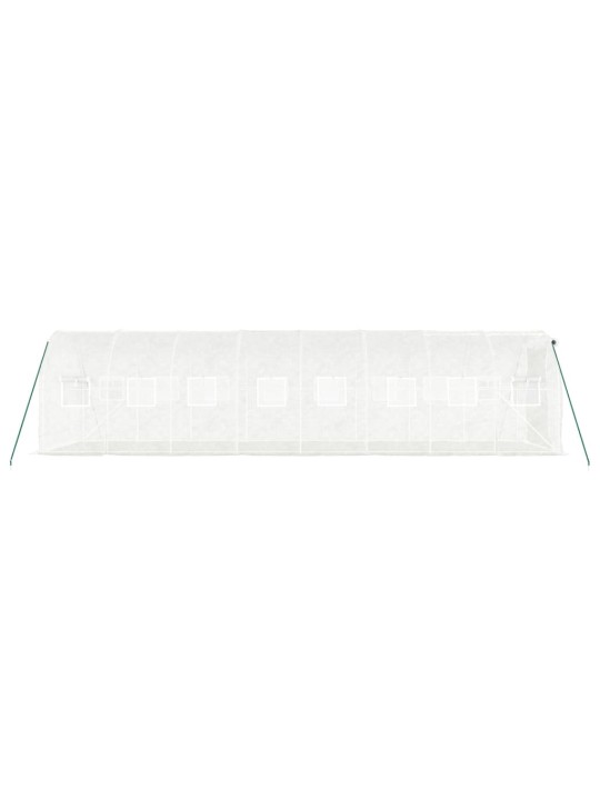 Siltumnīca ar tērauda rāmi, balta, 16 m², 8x2x2 m