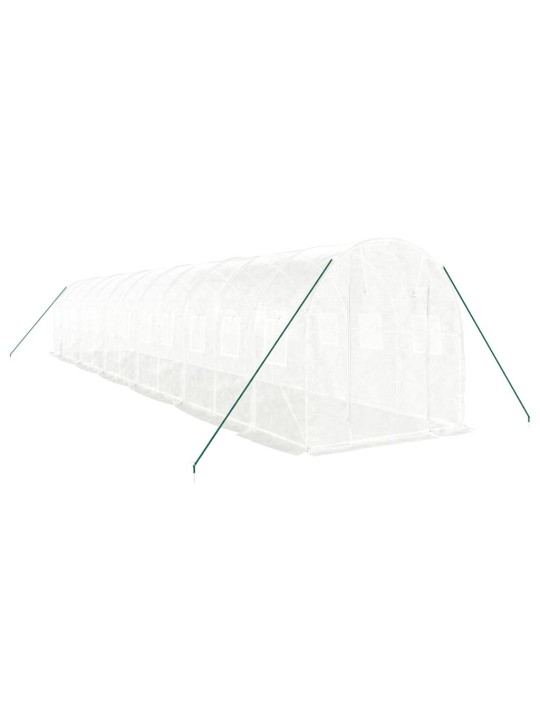 Siltumnīca ar tērauda rāmi, balta, 24 m², 12x2x2 m