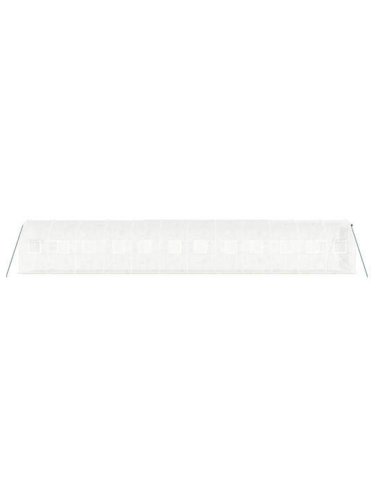 Siltumnīca ar tērauda rāmi, balta, 24 m², 12x2x2 m