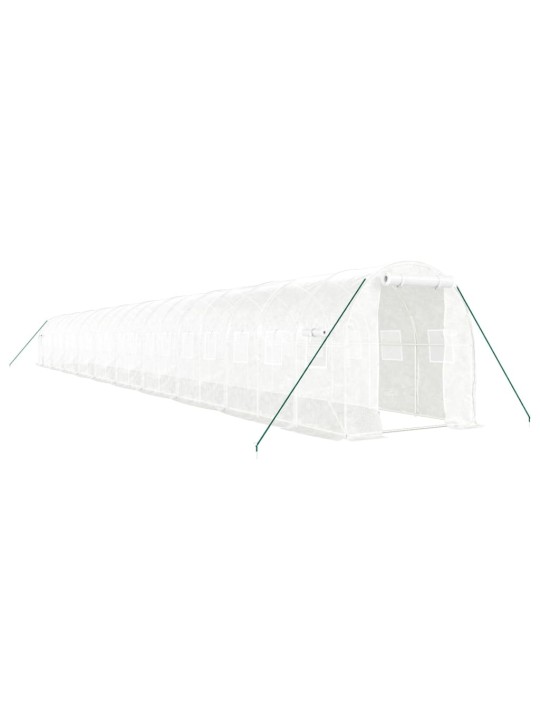 Siltumnīca ar tērauda rāmi, balta, 40 m², 20x2x2 m
