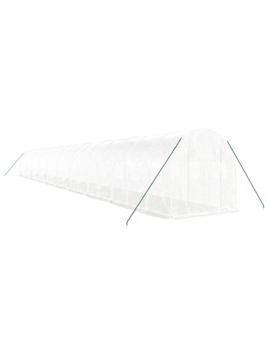 Siltumnīca ar tērauda rāmi, balta, 40 m², 20x2x2 m