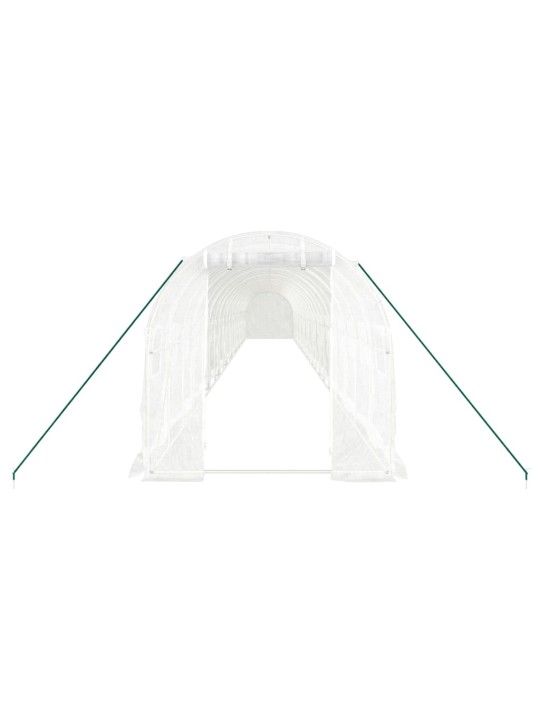 Siltumnīca ar tērauda rāmi, balta, 40 m², 20x2x2 m