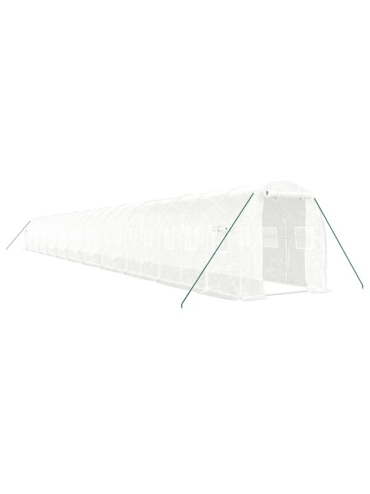 Siltumnīca ar tērauda rāmi, balta, 44 m², 22x2x2 m