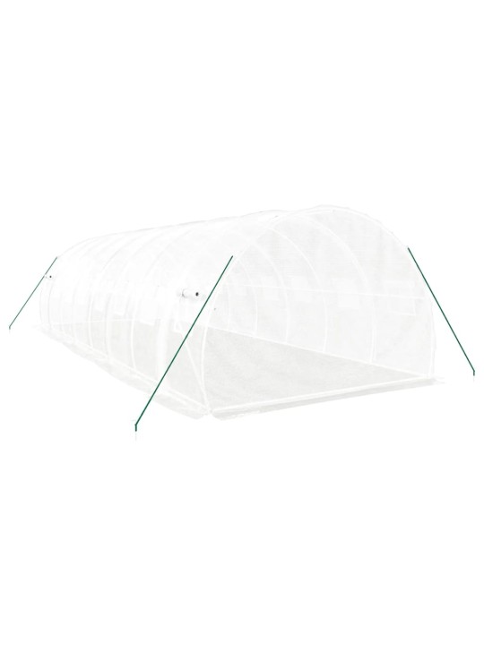 Siltumnīca ar tērauda rāmi, balta, 24 m², 8x3x2 m