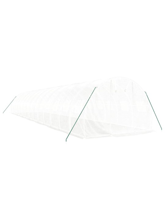 Siltumnīca ar tērauda rāmi, balta, 42 m², 14x3x2 m