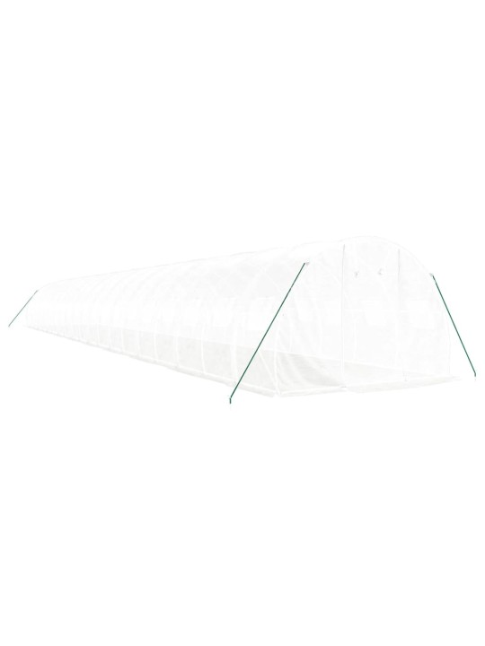 Siltumnīca ar tērauda rāmi, balta, 60 m², 20x3x2 m