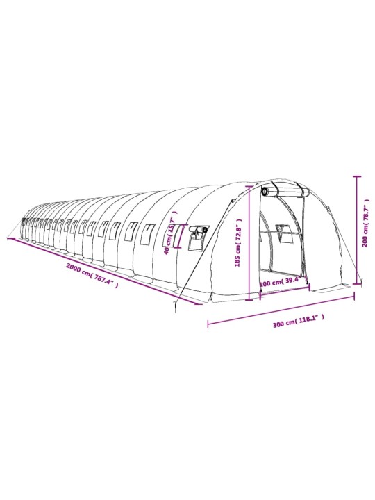 Siltumnīca ar tērauda rāmi, balta, 60 m², 20x3x2 m