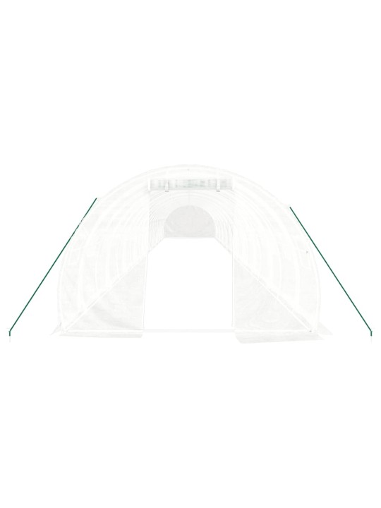 Siltumnīca ar tērauda rāmi, balta, 60 m², 20x3x2 m