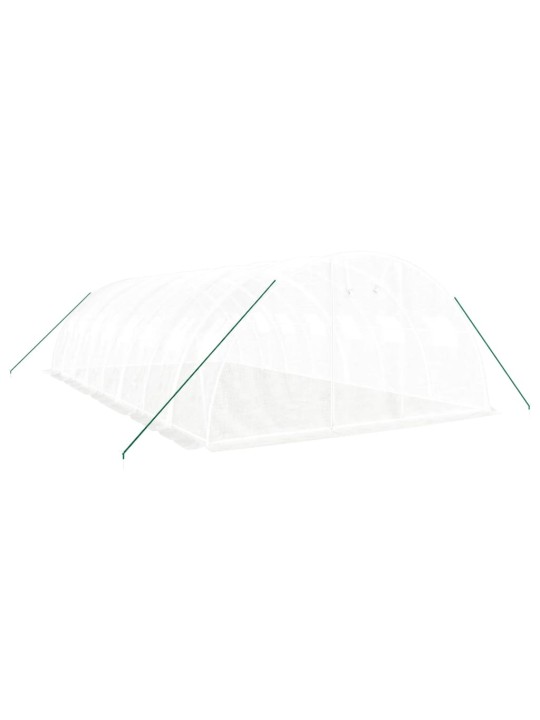 Siltumnīca ar tērauda rāmi, balta, 32 m², 8x4x2 m