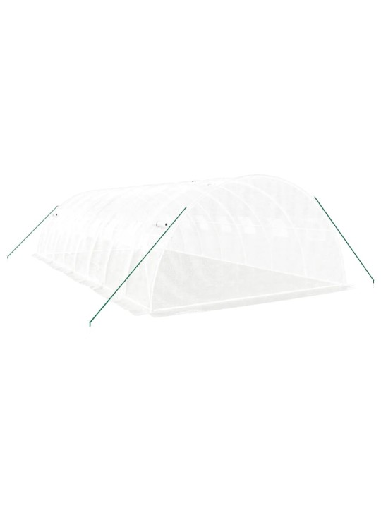 Siltumnīca ar tērauda rāmi, balta, 32 m², 8x4x2 m