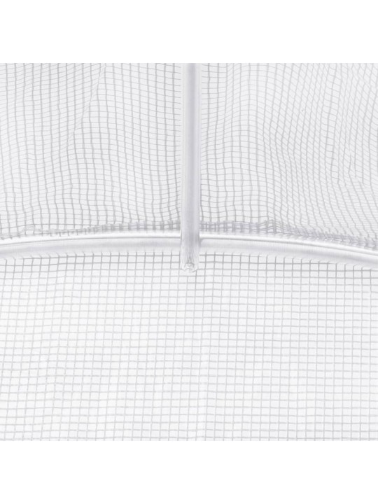 Siltumnīca ar tērauda rāmi, balta, 32 m², 8x4x2 m