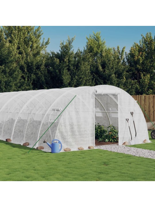 Siltumnīca ar tērauda rāmi, balta, 32 m², 8x4x2 m