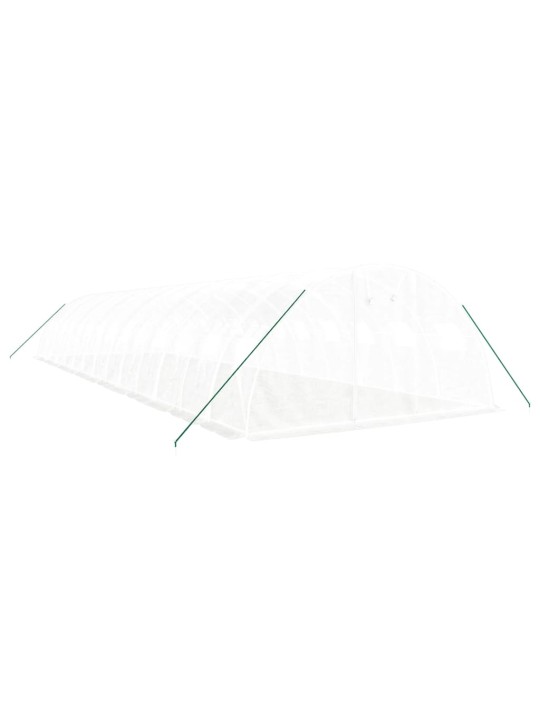 Siltumnīca ar tērauda rāmi, balta, 56 m², 14x4x2 m