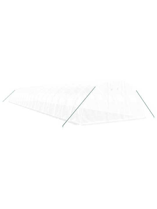 Siltumnīca ar tērauda rāmi, balta, 80 m², 20x4x2 m