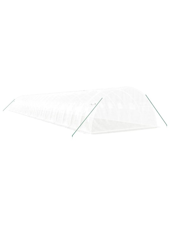 Siltumnīca ar tērauda rāmi, balta, 80 m², 20x4x2 m