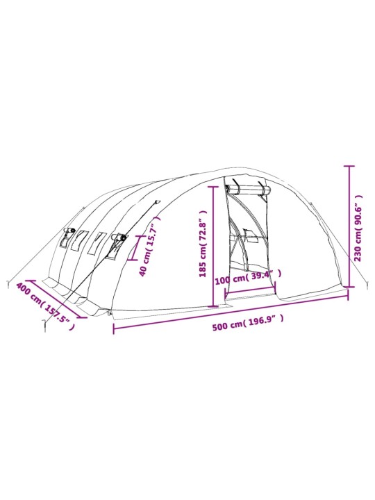 Siltumnīca ar tērauda rāmi, balta, 20 m², 5x4x2,3 m