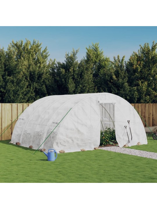 Siltumnīca ar tērauda rāmi, balta, 20 m², 5x4x2,3 m