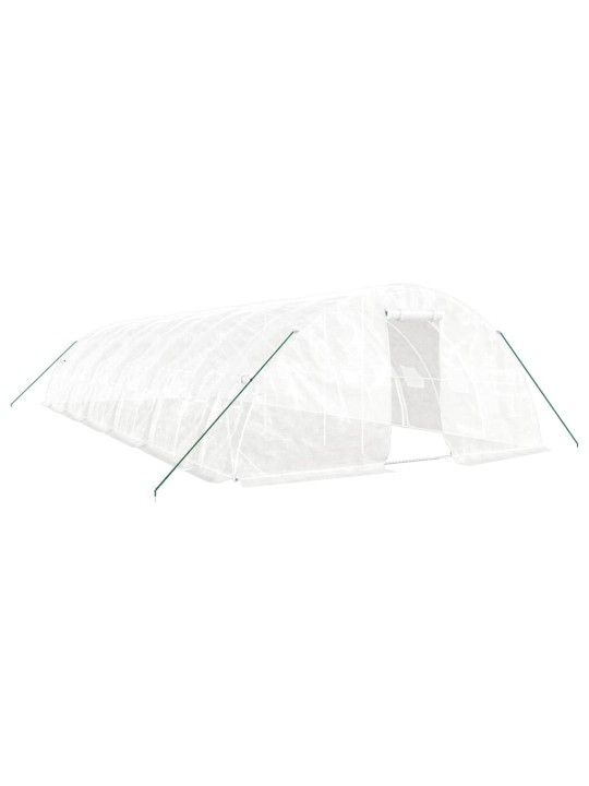 Siltumnīca ar tērauda rāmi, balta, 60 m², 12x5x2,3 m