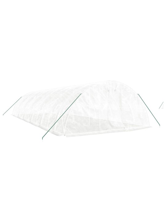 Siltumnīca ar tērauda rāmi, balta, 60 m², 12x5x2,3 m