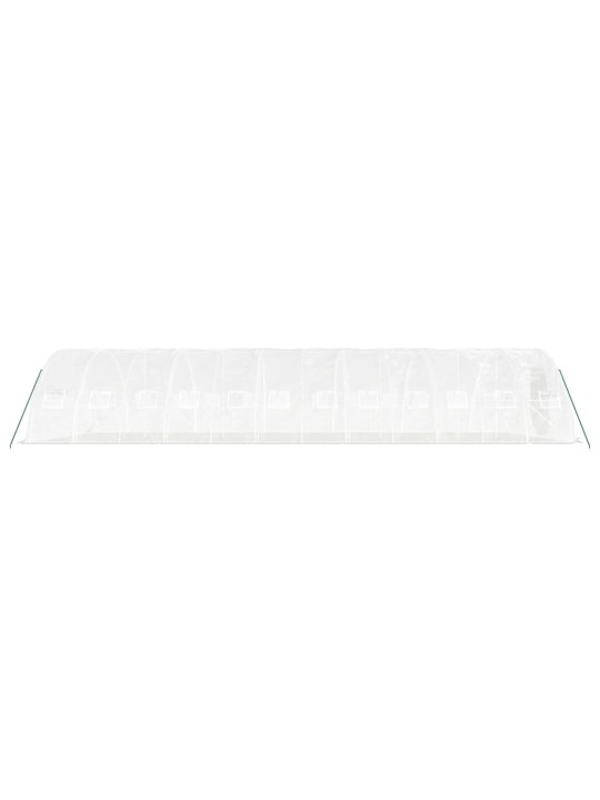Siltumnīca ar tērauda rāmi, balta, 60 m², 12x5x2,3 m