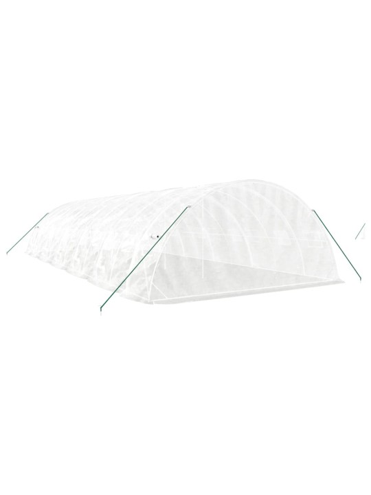Siltumnīca ar tērauda rāmi, balta, 60 m², 12x5x2,3 m