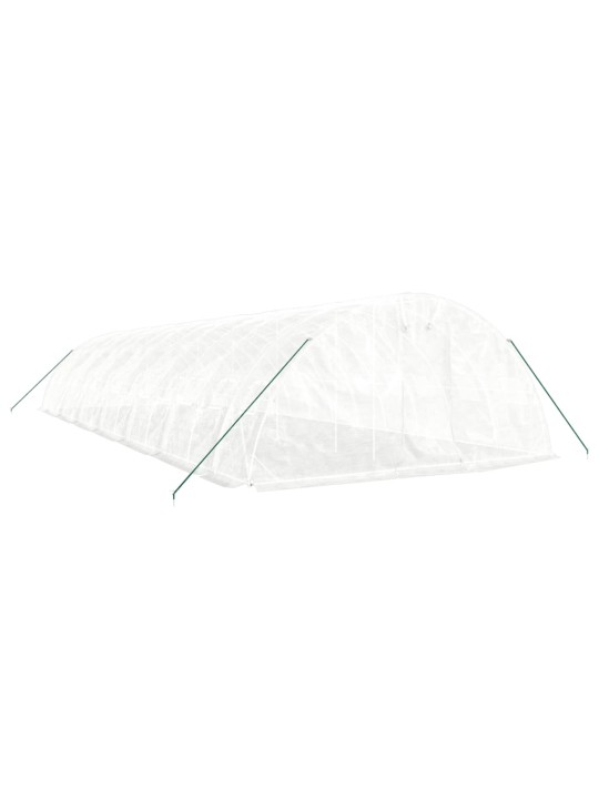 Siltumnīca ar tērauda rāmi, balta, 70 m², 14x5x2,3 m