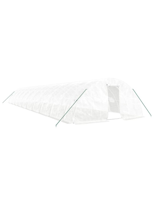 Siltumnīca ar tērauda rāmi, balta, 100 m², 20x5x2,3 m