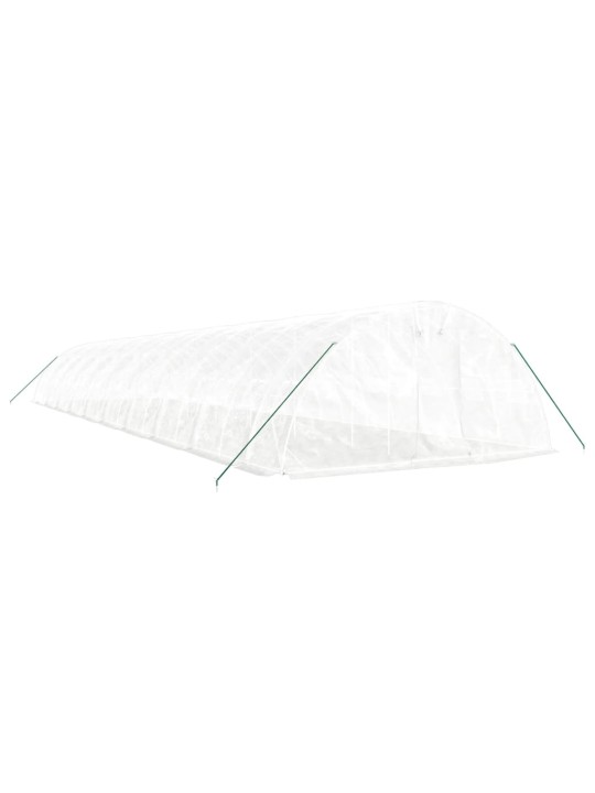 Siltumnīca ar tērauda rāmi, balta, 100 m², 20x5x2,3 m