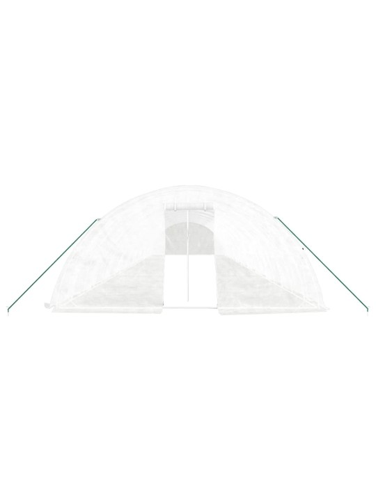 Siltumnīca ar tērauda rāmi, balta, 100 m², 20x5x2,3 m