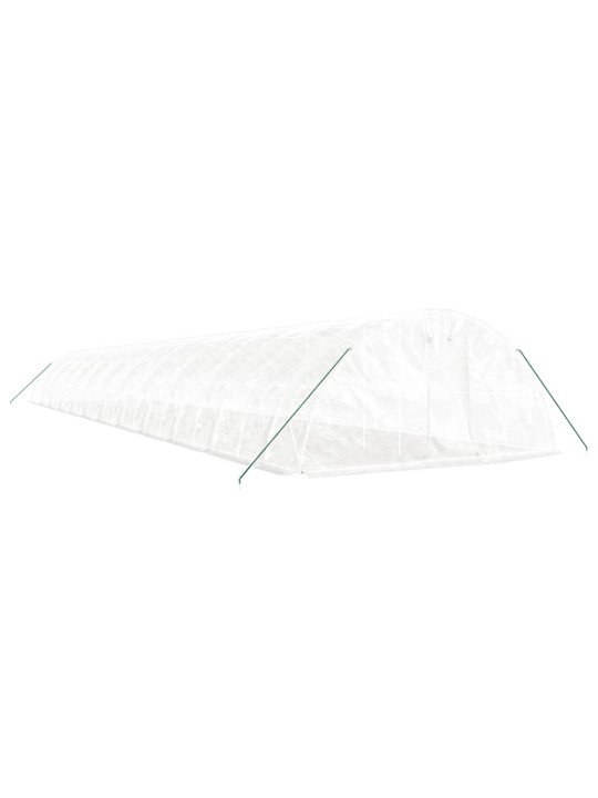 Siltumnīca ar tērauda rāmi, balta, 120 m², 24x5x2,3 m