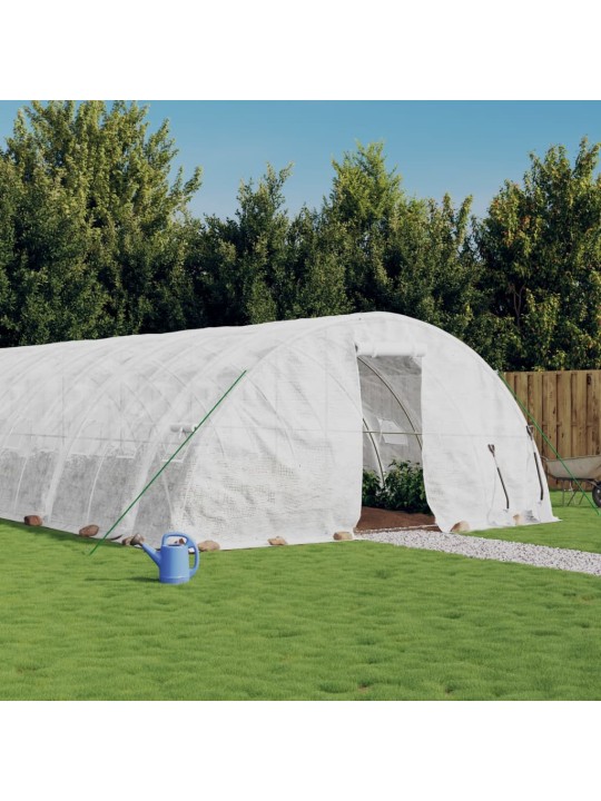 Siltumnīca ar tērauda rāmi, balta, 120 m², 24x5x2,3 m