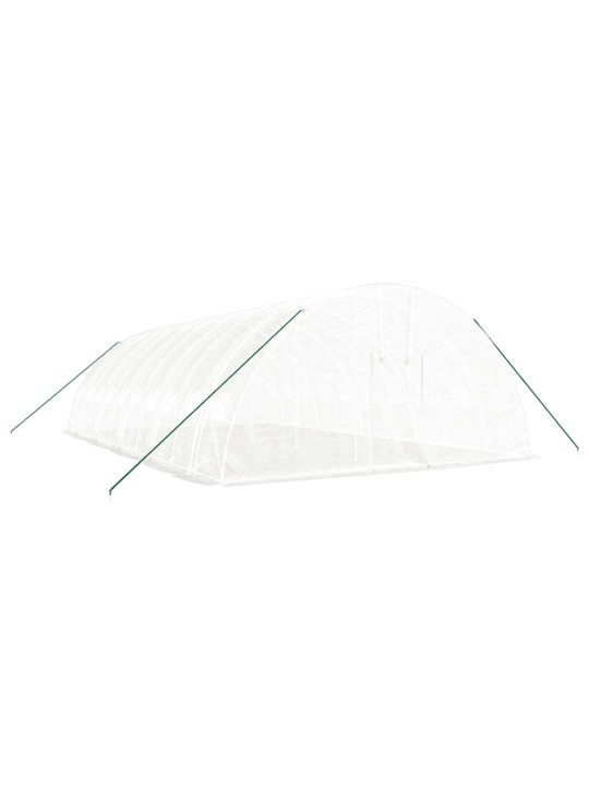Siltumnīca ar tērauda rāmi, balta, 60 m², 10x6x2,85 m