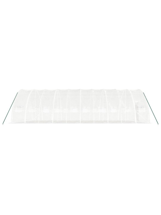 Siltumnīca ar tērauda rāmi, balta, 60 m², 10x6x2,85 m