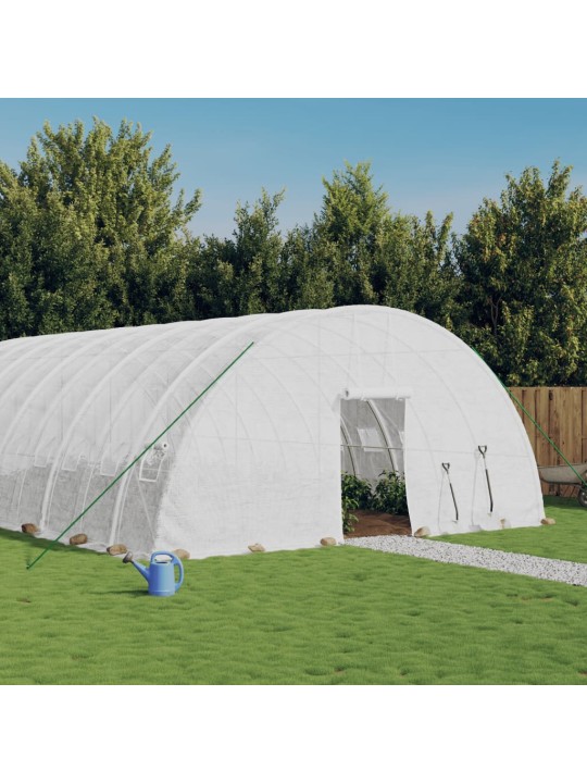 Siltumnīca ar tērauda rāmi, balta, 72 m², 12x6x2,85 m