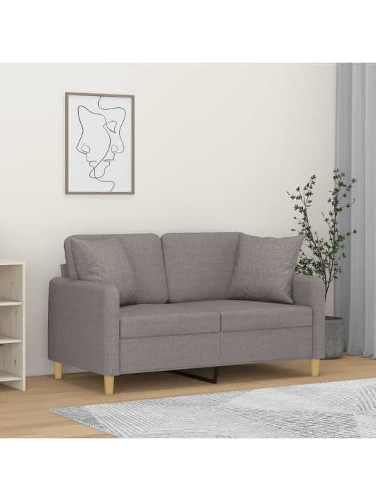 Divvietīgs dīvāns ar spilveniem, gaiši pelēks, 120 cm, audums