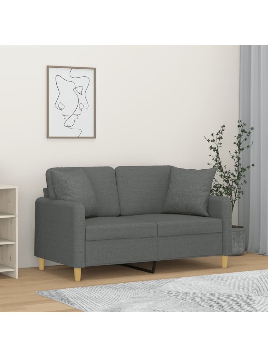 Divvietīgs dīvāns ar spilveniem, tumši pelēks, 120 cm, audums