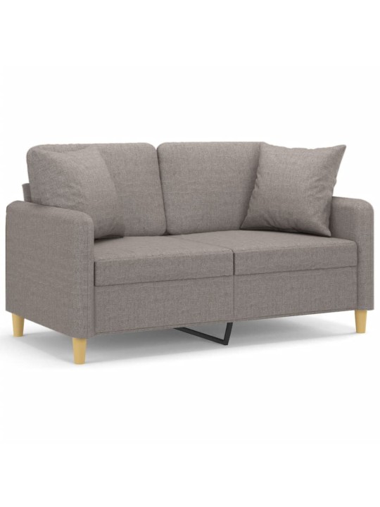 Divvietīgs dīvāns ar spilveniem, pelēkbrūns, 120 cm, audums