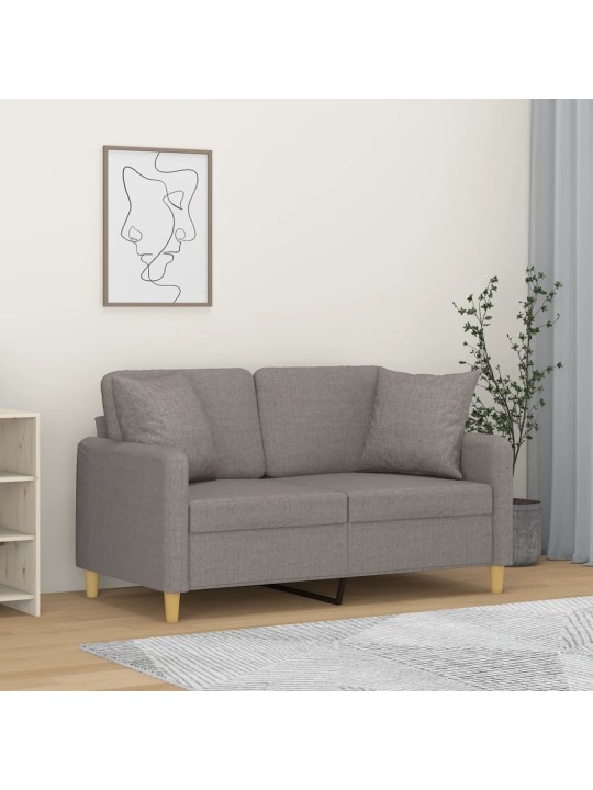 Divvietīgs dīvāns ar spilveniem, pelēkbrūns, 120 cm, audums