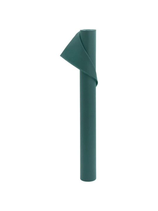 Augu pārsegs, 70 g/m², 10x1,6 m